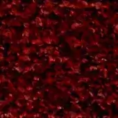 Crimson granular texture with fragmented particles, displaying subtle tonal variations and embedded “swan > fabric > extra 840” text.